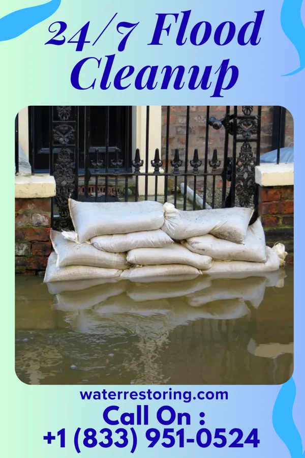 24/7 Flood Cleanup in New Tazewell, TN