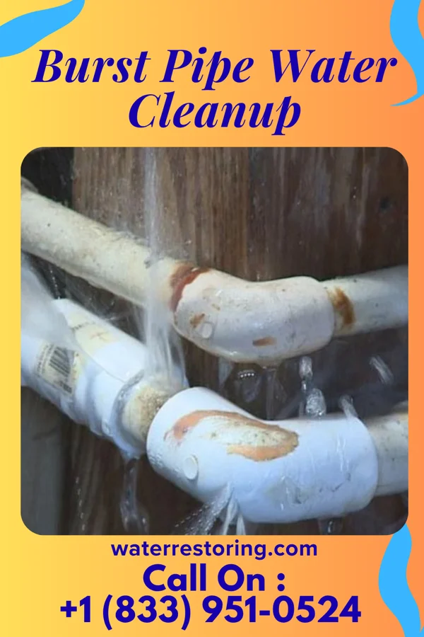 Burst Pipe Water Cleanup in New Tazewell, TN