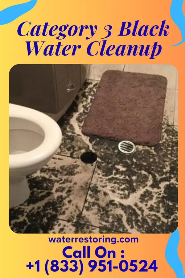 Category 3 Black Water Cleanup in New Tazewell, TN