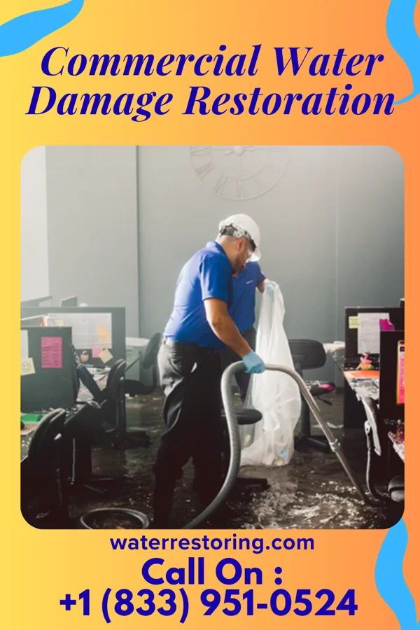 Commercial Water Damage Restoration in New Tazewell, TN