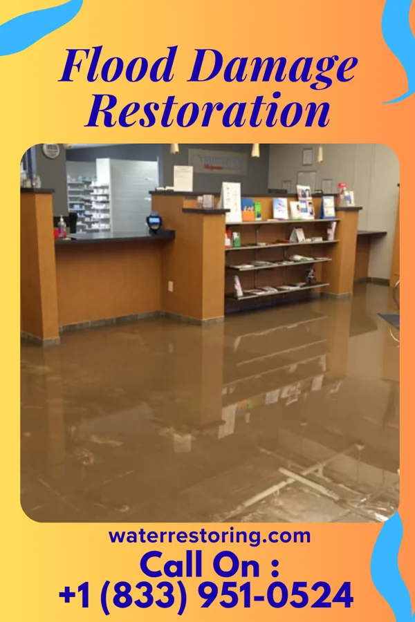 Flood Damage Restoration in New Tazewell, TN