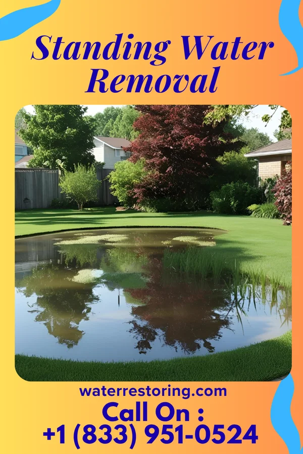 Standing Water Removal in New Tazewell, TN